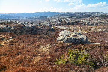 Fototapeta na wymiar Norwegian landscape with rocks and red moss