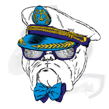 Dog in the captain's cap. Cute puppy. Vector illustration.