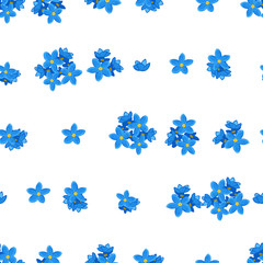 Seamless forget-me-not pattern