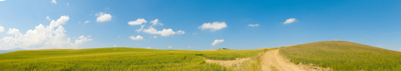Fototapeta premium Tuscany wheat field panorama in a sunny day
