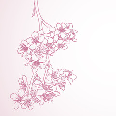 blossoming tree line art hand drawing illustration