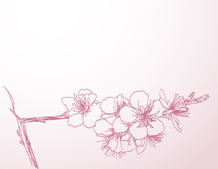 blossoming tree line art hand drawing