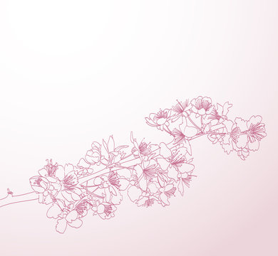 blossoming tree line art hand drawn illustration. spring stylish