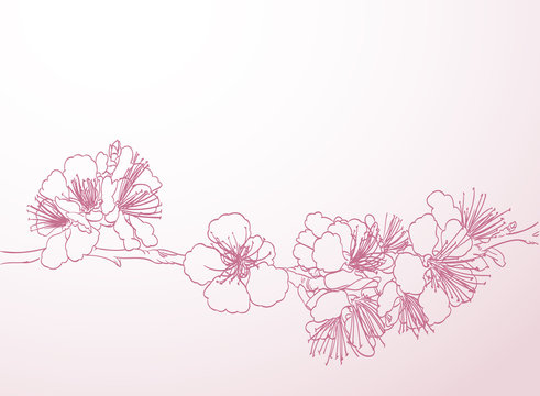 blossoming tree line art hand drawing. spring stylish background