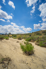 Sand in Southwest Dry Wash