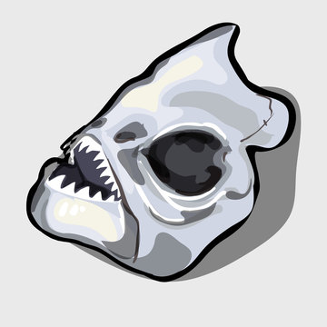 Cranial bone fish, head ancient toothy creatures