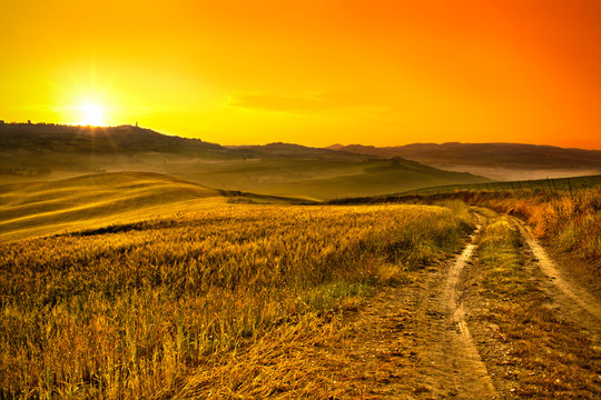Tuscany wheat field hill at sunrise