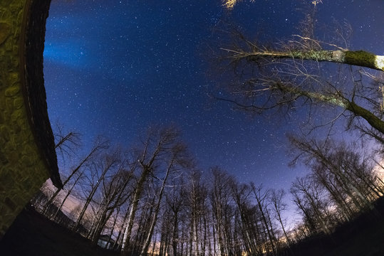 Fisheye view of the starry sky with blurred motion clouds, captured from sparse beech woodland. Ursa Major or the Big Dipper in the center. Scenic distortion and 180° view.