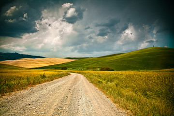 Fototapeta na wymiar Tuscany wheat field hill after a storm