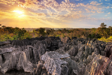 Beautiful view over national park 'Tsingy de Bemaraha' , a UNESCO world heritage site in Madagascar 