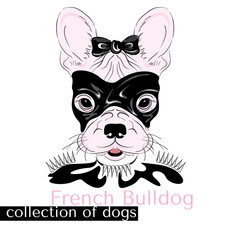 Collection of purebred dogs in vector. Hand drawing . French Bulldog in latex . BDSM .