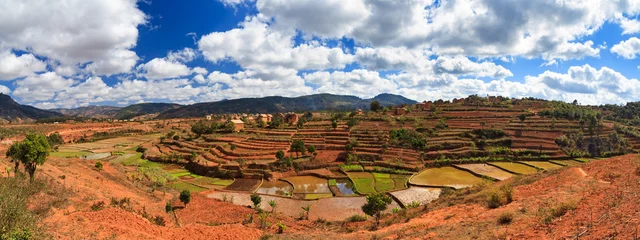 Fotobehang Beautiful panorama of the landscape of Madagascar with rice plantations and a nice cloudscape © dennisvdwater