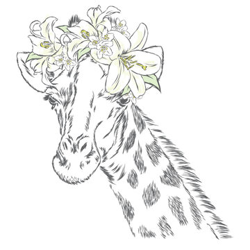 Giraffe in a wreath of flowers. Vector illustration. Print for clothes, posters or postcards.