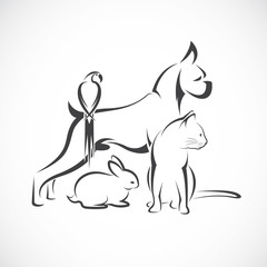 Vector group of pets - Dog, cat, bird, rabbit, isolated on white