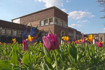 Frühling im Park am Museum Kunstpalast in Düsseldorf. © hespasoft