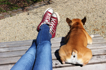 Junge Frau mit Hund auf einer Wellenbank entspannen sich bei Sonnenschein
