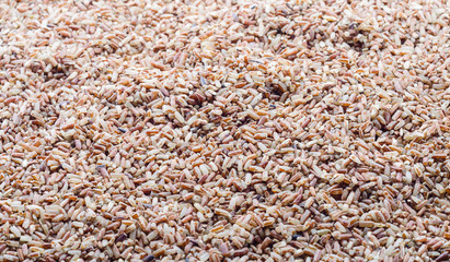 Black rice