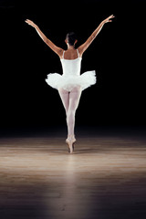 Obraz premium beautiful classical dancer on black background