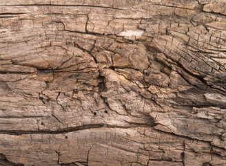 brown old texture