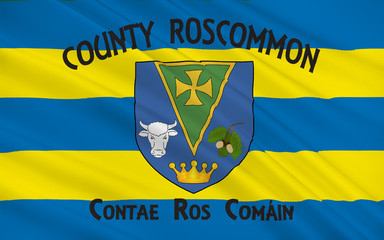 Flag of County Roscommon is a county in Ireland