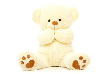 white teddy bear isolated on white