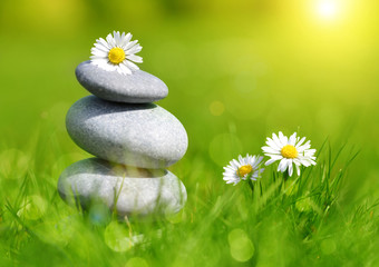 Obraz na płótnie Canvas Green grass with stones and daisies, soft focus. Spa concept
