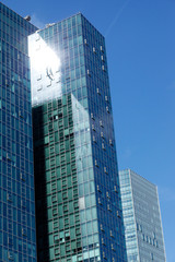 Obraz premium Frankfurt city Skyscraper facade and tree