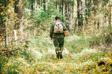 man gathering mushrooms in the woods