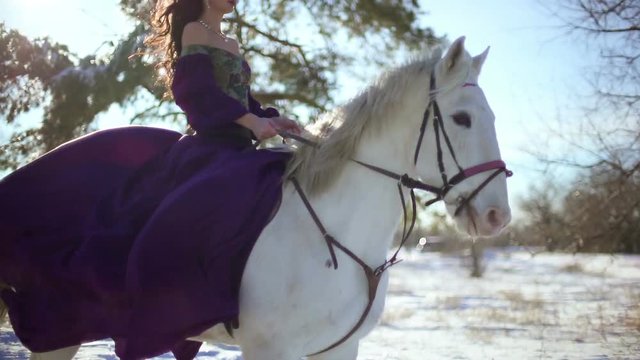beautiful woman on a white horse in winter
