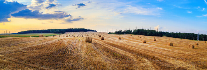 Hay bales on field. Autumn field with hay bales after harvest. Rural landscape with haystacks against the backdrop of a beautiful sunset sky. Panorama shot.
