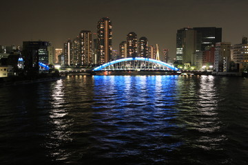 Fototapeta na wymiar 隅田川に架かる永代橋の夜景