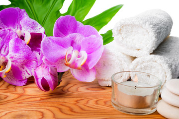 beautiful spa still life with blooming lilac orchid, white stones, towels, candle and tropical green leaf on root wood background is isolated, close up