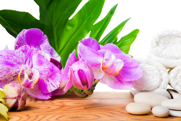 Fototapeta na wymiar beautiful spa concept of blooming lilac orchid, white stones, towels and big tropical green leaf on root wood background is isolated, close up