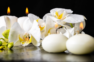Obraz na płótnie Canvas beautiful spa decoration of blooming white orchid flower, phalaenopsis with dew and candles on black background, close up