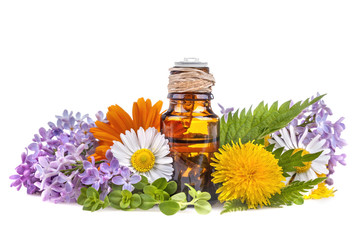herbs and flowers with organic aromatic essential oil