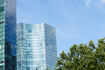 Frankfurt city Skyscraper facade and tree