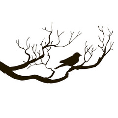 bird at tree silhouettes
