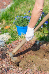 Springtime home gardening, hoeing soil and planting flowers