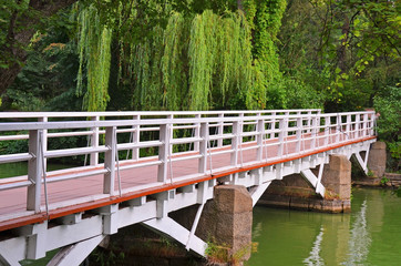 Park bridge over lake