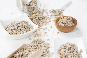Sunflower Seed Heaps