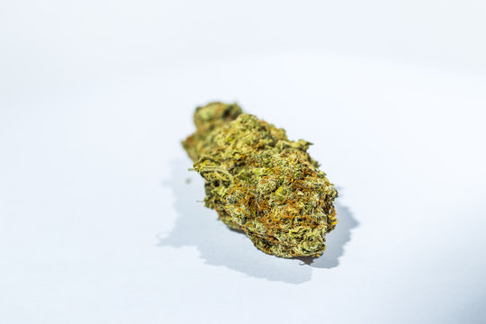Marijuana Dried Bud closeup on bright background