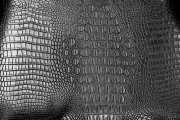 Crocodile Leather background texture