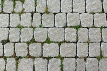 Old paving square shape with grass sprouted between the tiles