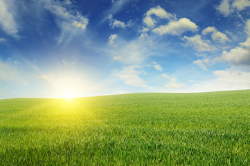 Obraz premium Beautiful sunset on green field