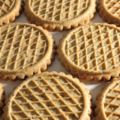 Background of biscuits in shape of circle
