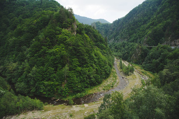 River in Forest