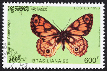 Fototapeta na wymiar GROOTEBROEK ,THE NETHERLANDS - MARCH 20,2016 : A stamp printed by Cambodia, shows butterfly, circa 1993.
