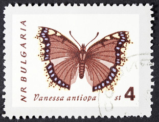 Fototapeta na wymiar GROOTEBROEK ,THE NETHERLANDS - MARCH 20,2016 : A stamp printed in the Bulgaria shows Mourning Cloak, Vanessa Antiopa, Butterfly, circa 1962