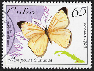 GROOTEBROEK ,THE NETHERLANDS - MARCH 20,2016 : A stamp printed in the Cuba shows Black-striped White, Melete Salacia Cubana, Butterfly, circa 1995