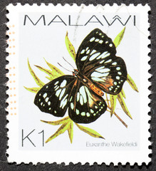 Fototapeta na wymiar GROOTEBROEK ,THE NETHERLANDS - MARCH 15,2016 : A stamp printed by Malawi, shows butterfly, circa 2007